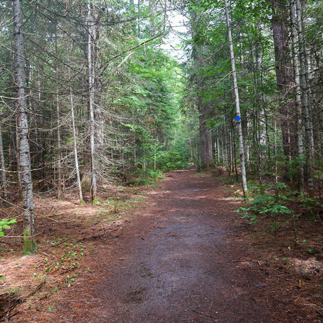 August 28th - Mew Lake Algonquin Provincial Park.