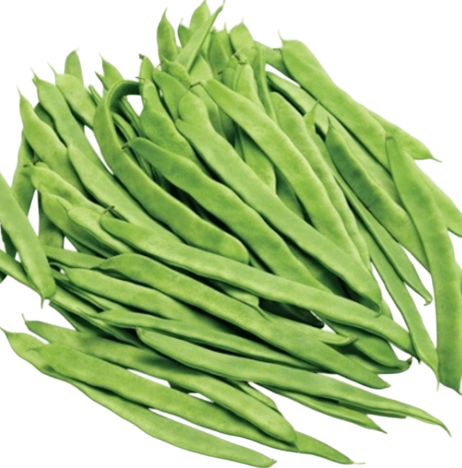 Feijão Verde Douradinho