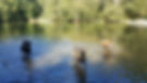 20180927_121910.jpg