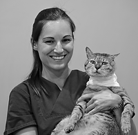 veterinaire le Pradet