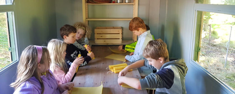 Bild 8b.jpeg