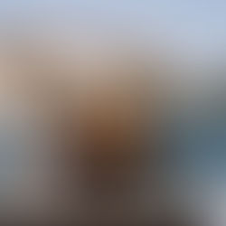 The Honest Naples Italy Travel Guide: What Nobody Tells You (From Someone Who Actually Lives Here)