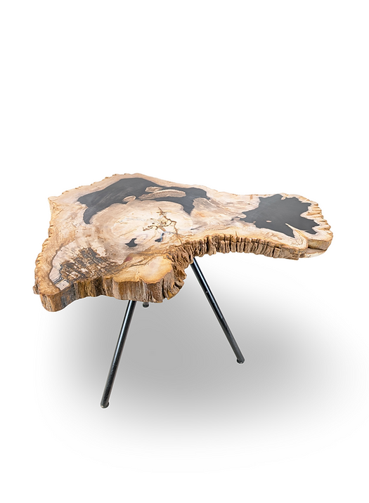 Petrified Wood Coffee Table