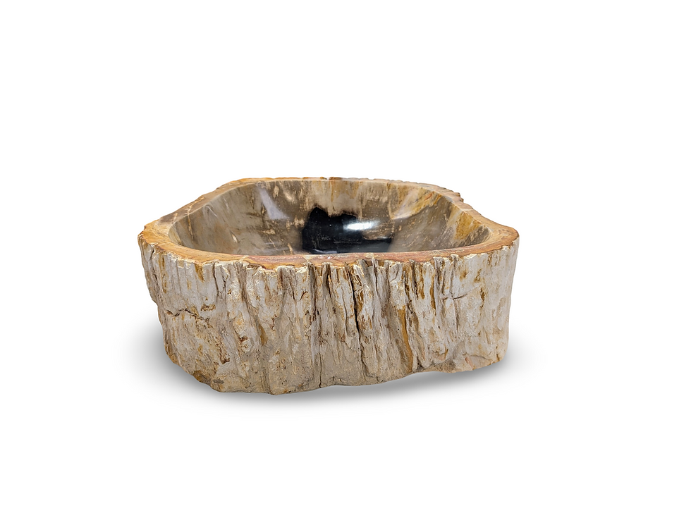 Thumbnail: PETRIFIED STONE SINK, Rustic Stone Sink, Petrified Vessel Sink, TableTop Sink