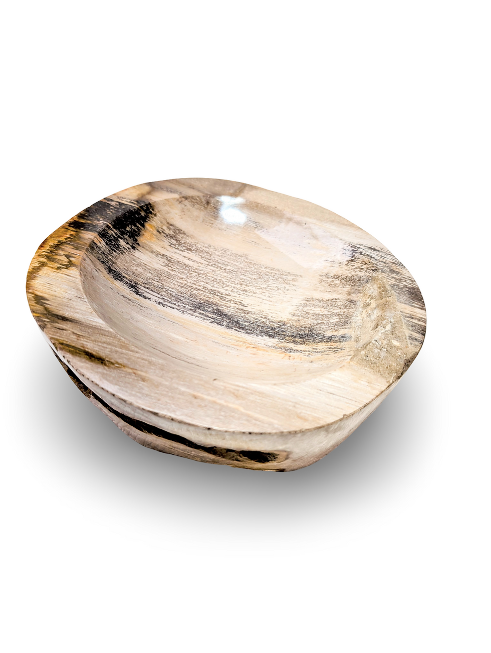 Thumbnail: PETRIFIED WOOD BOWL, Fossilized Wood Bowl, Stone Wooden Dish, Natural Stone Bowl
