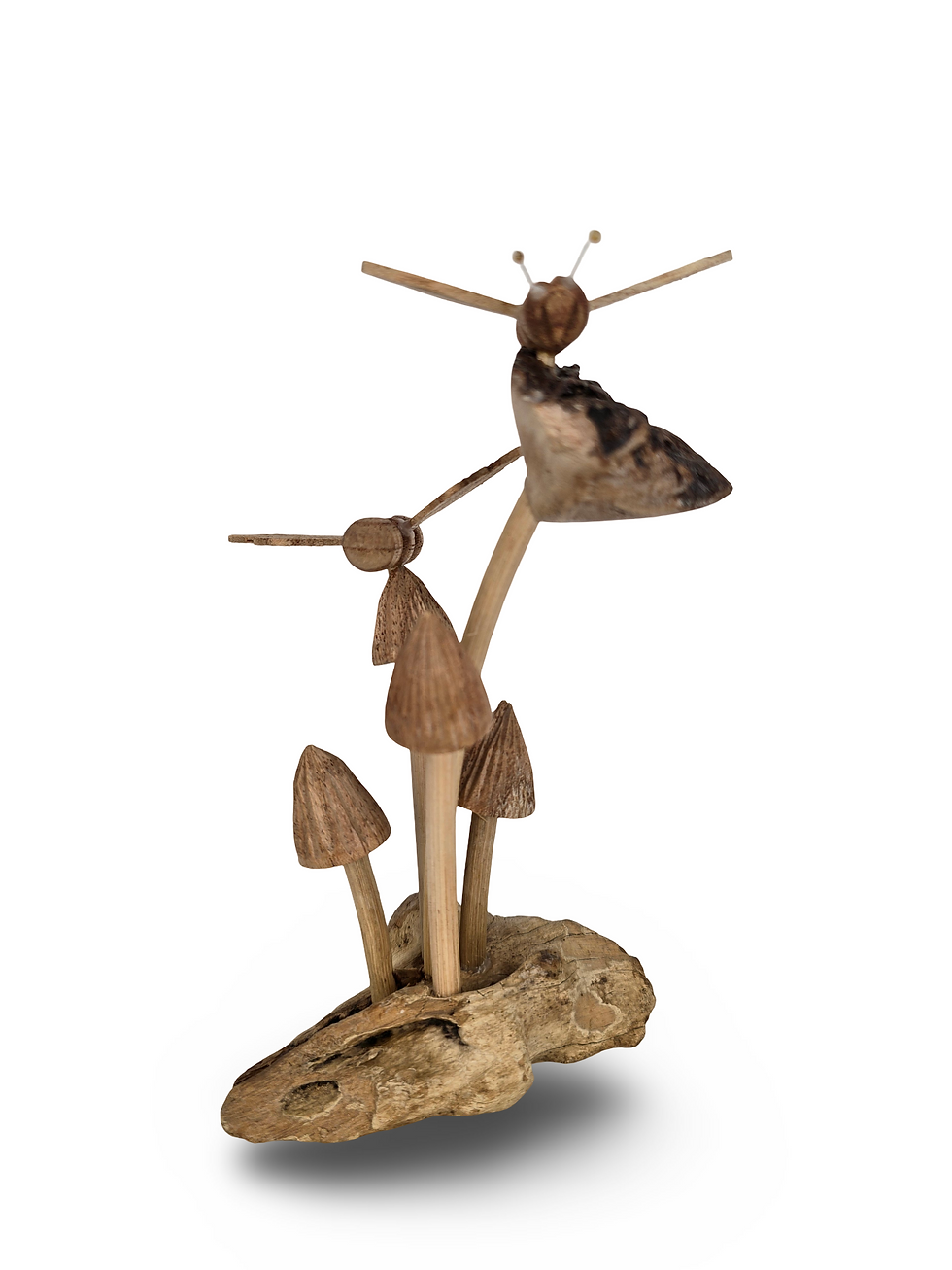 Thumbnail: Teakwood Mushroom