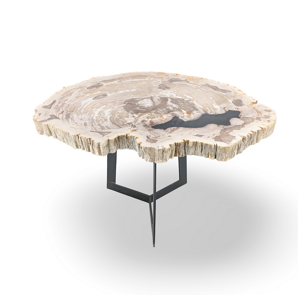 Thumbnail: Petrified Slab End table