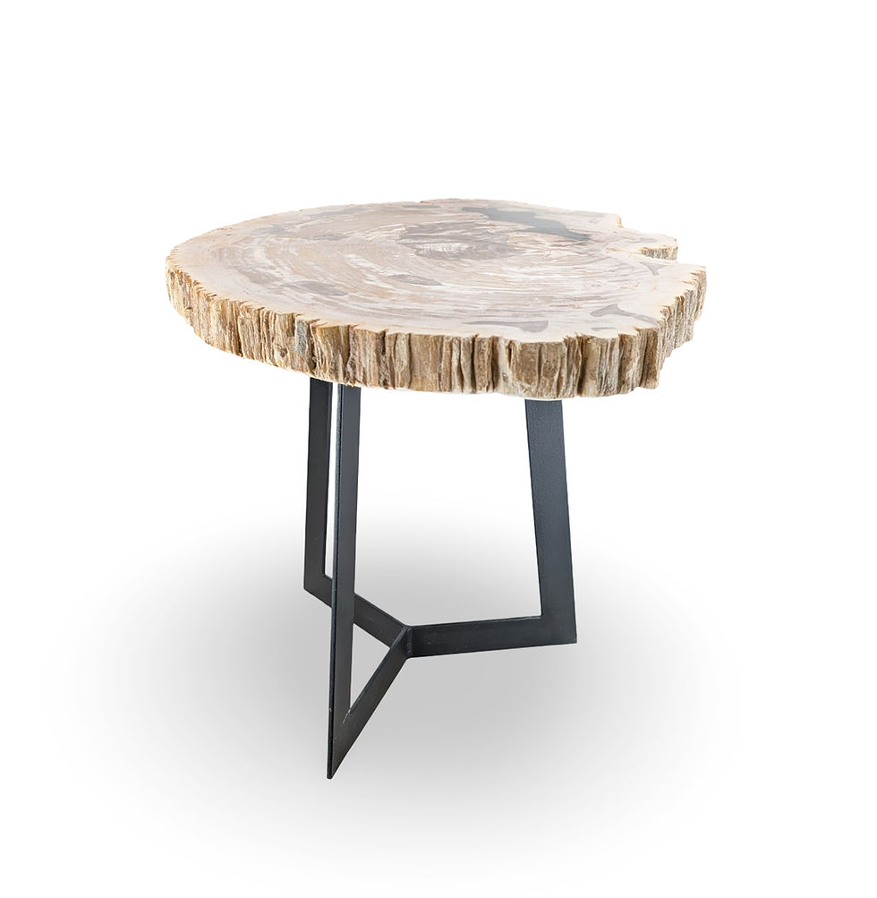 Thumbnail: Petrified Slab Side Table