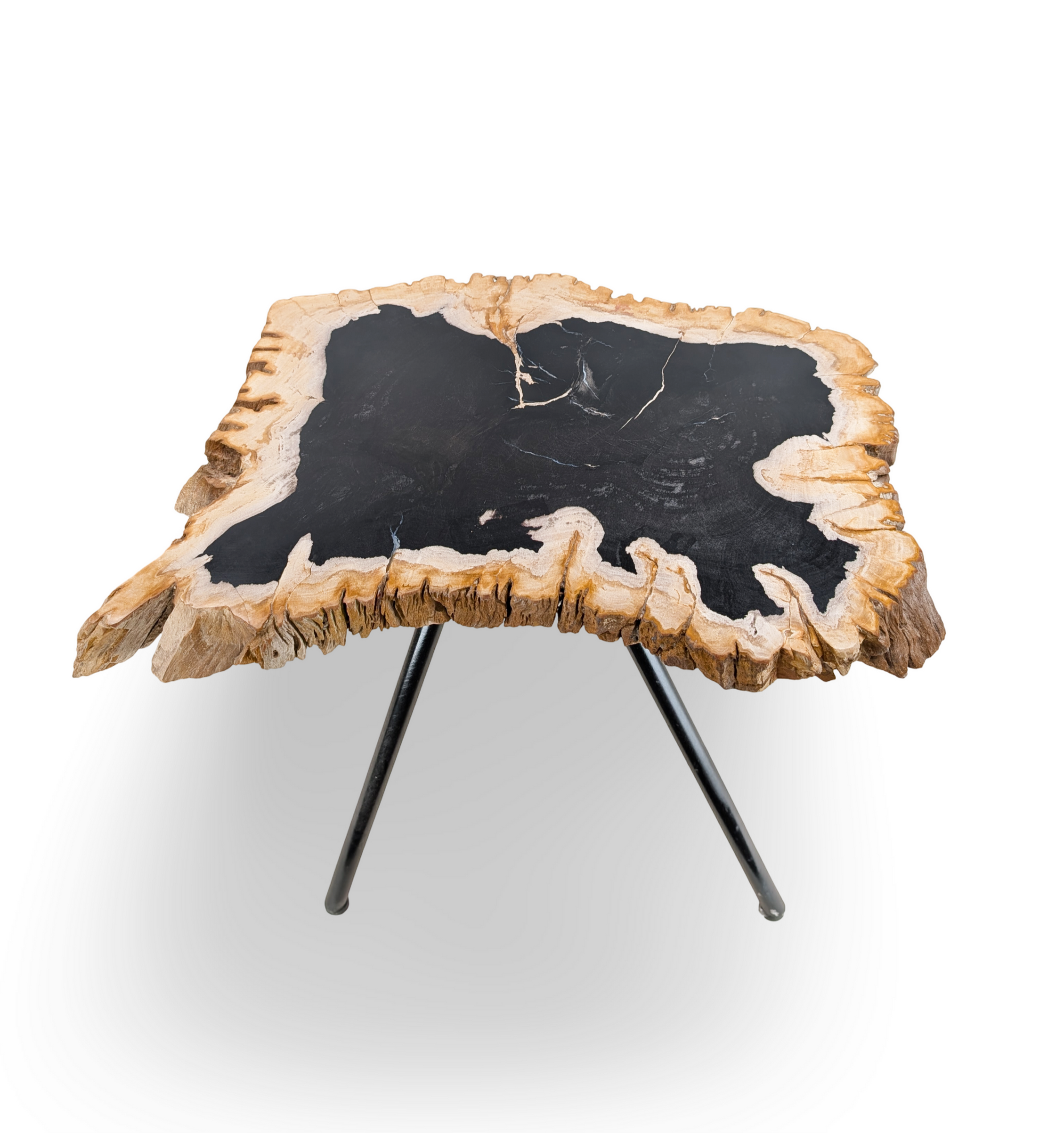 Petrified Wood End Table, Petrified Wood Side Table, Petrified Wood Table
