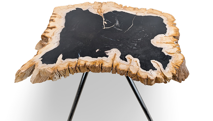 Petrified Wood End Table, Petrified Wood Side Table, Petrified Wood Table