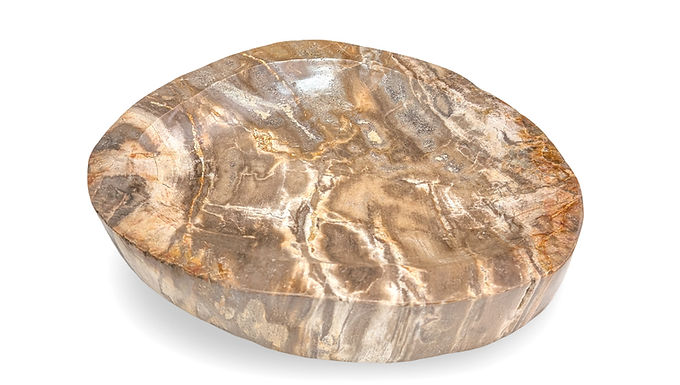 Fossil Wood Dish, Fossil Wood Bowl, Mineralized Wood Bowl, Mineralized Wood Dish