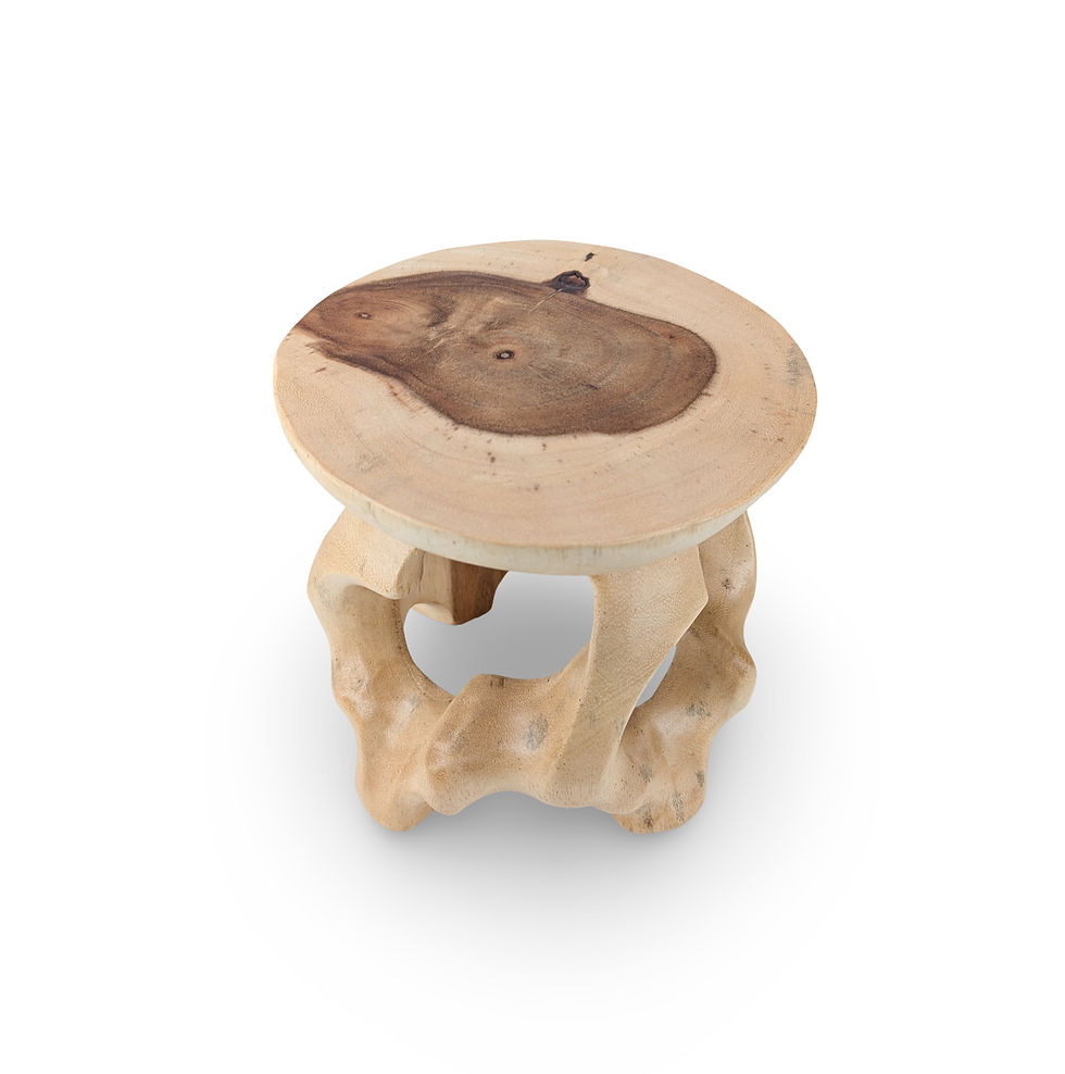 Thumbnail: Wood Plant Riser