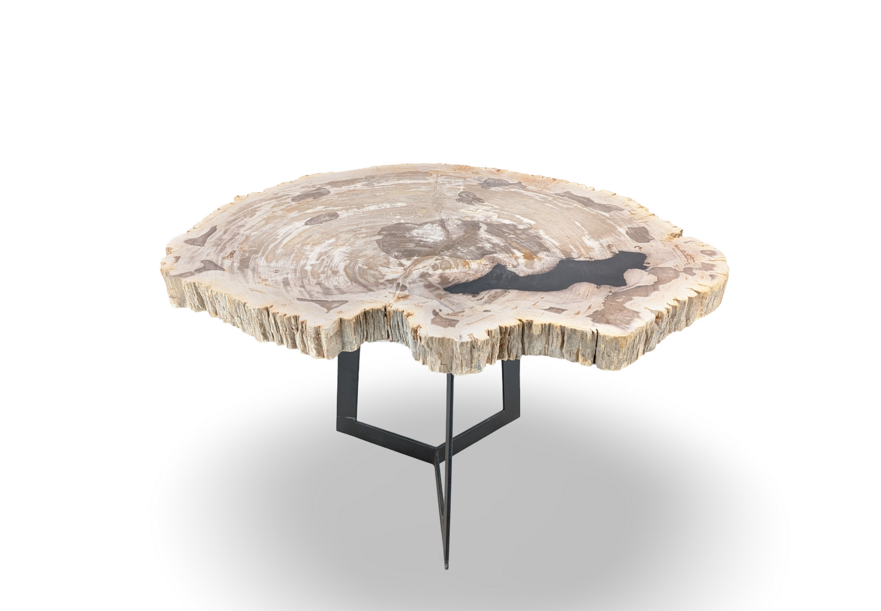 Fossilized Stone End Table
