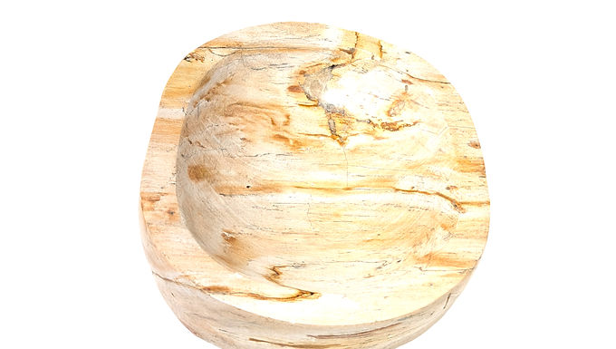 Petrified Wood Dish, Petrified Wood Bowl, Organic Stone Dish, Fossil Wood Dish