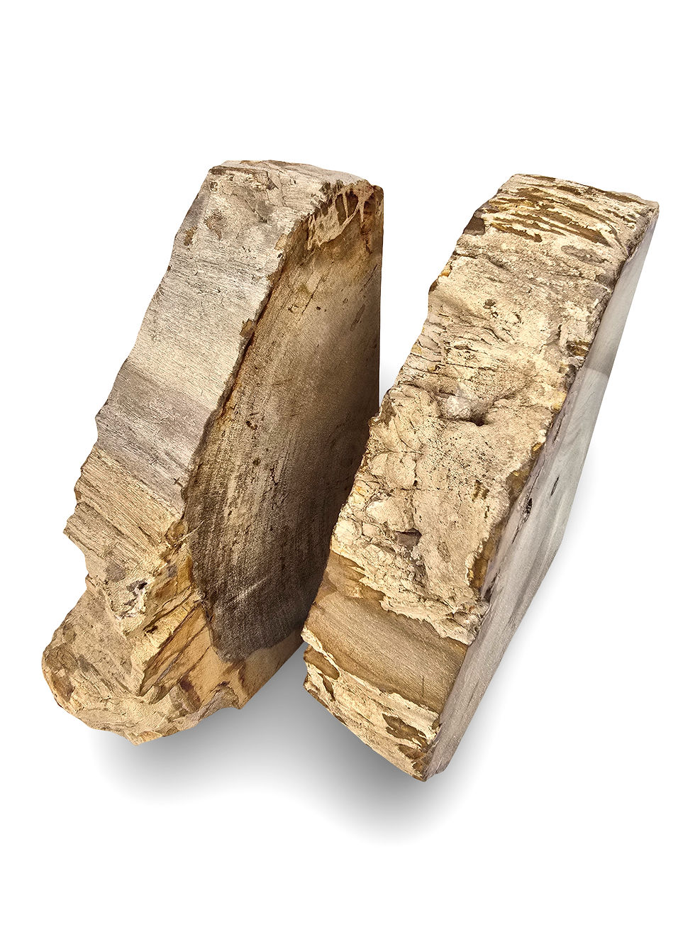Thumbnail: Petrified Wood Bookends