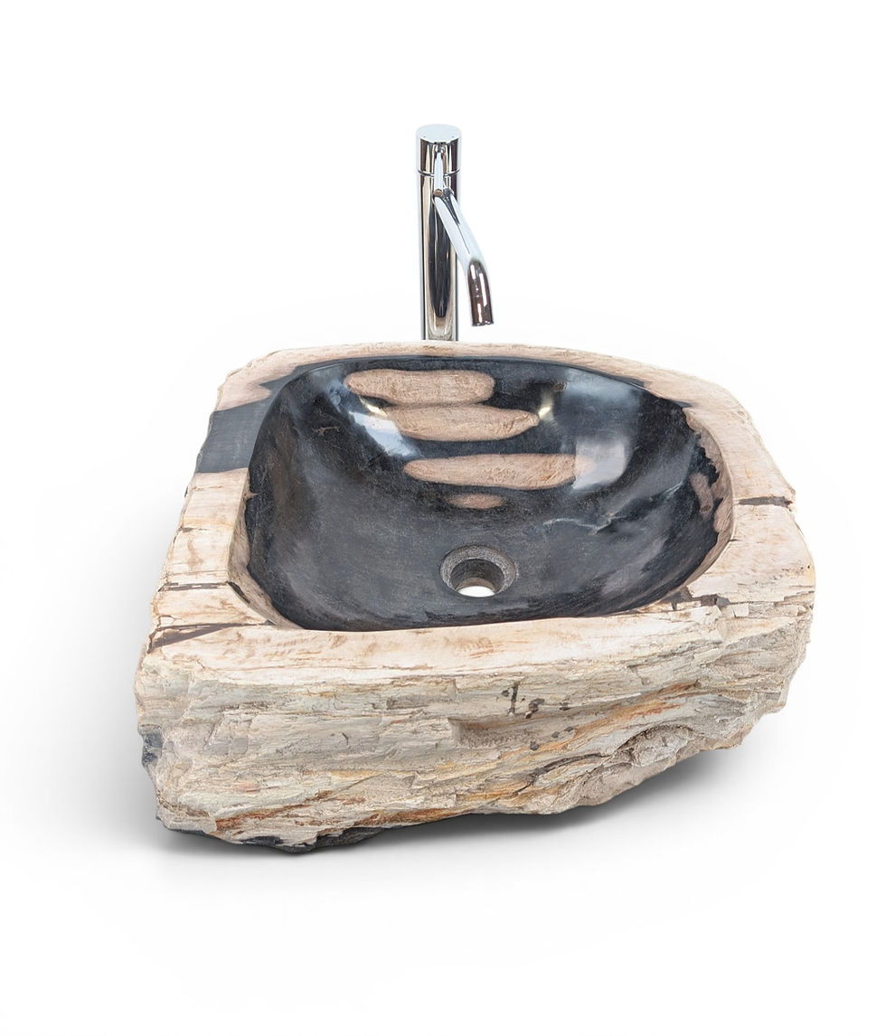 Petrified wood sink with natural edges