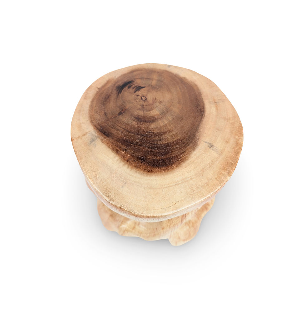Thumbnail: Teak Plant Riser