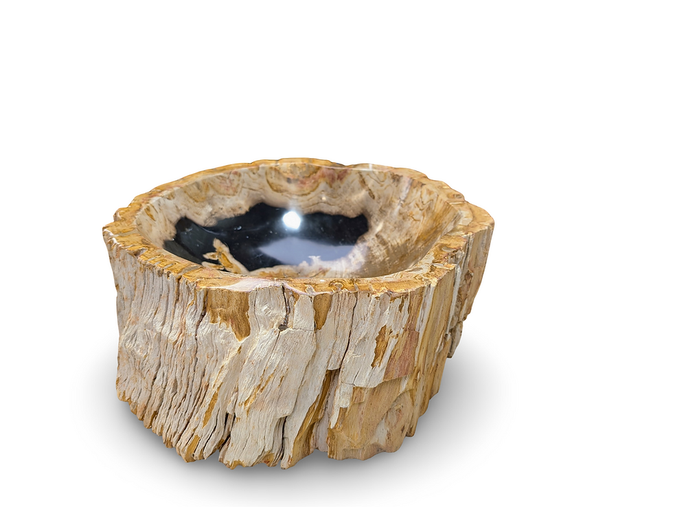 Thumbnail: PETRIFIED VESSEL BATHROOM Sink, Petrified Wood Wash Basin, Stone Wood Sink