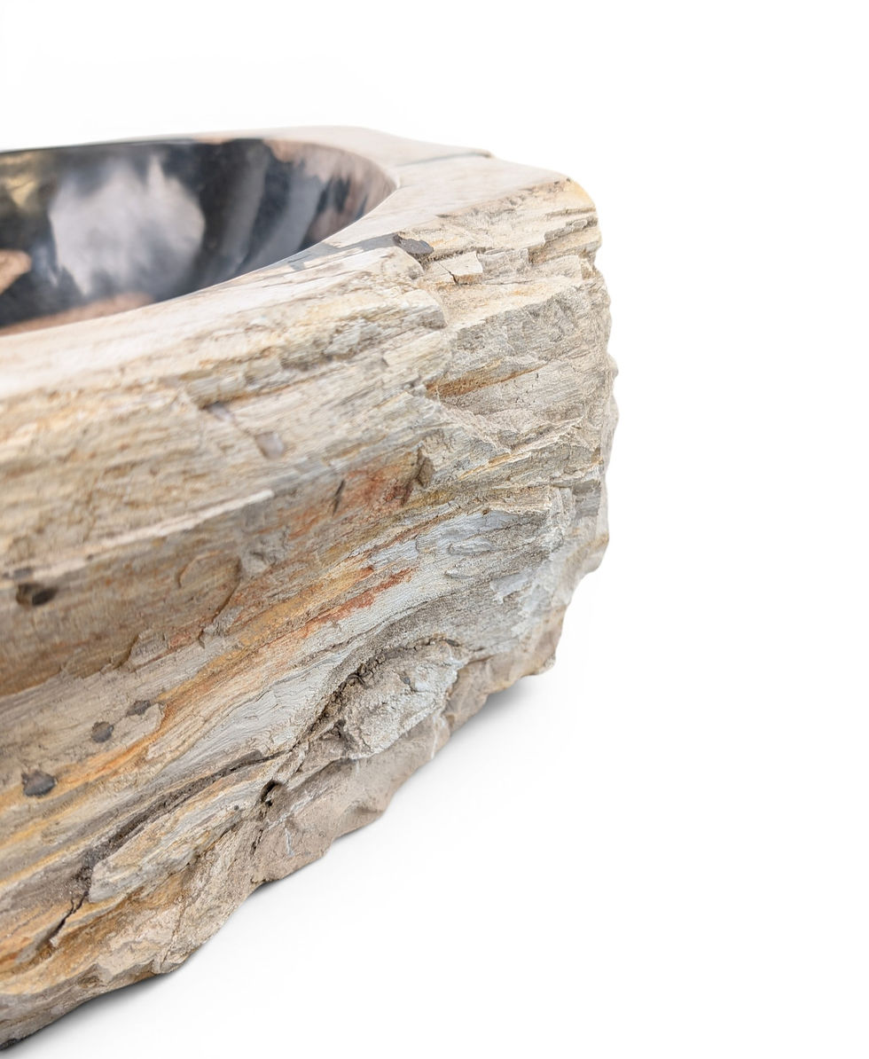 Thumbnail: Unique petrified wood vanity sink