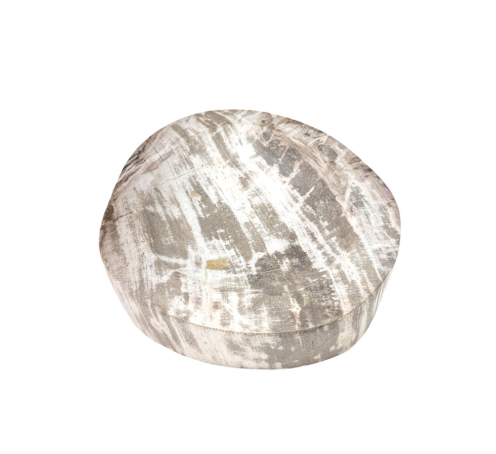 Thumbnail: Fossil Wood Bowl
