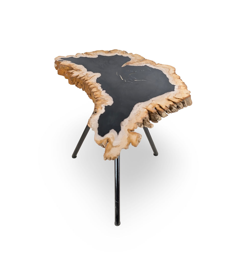 Thumbnail: Petrified Wood End Table