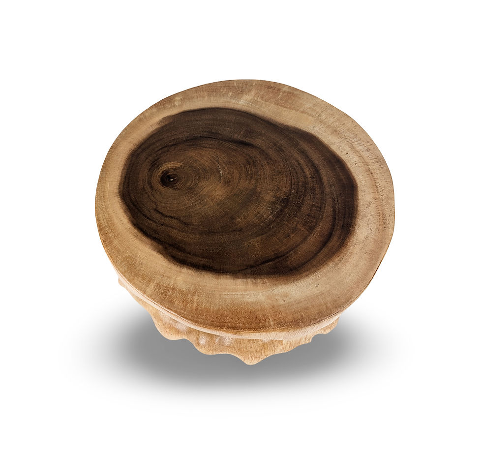 Thumbnail: Wood Plant Base