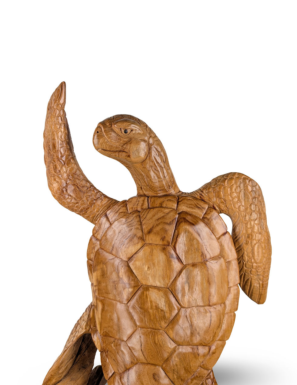 Thumbnail: Wood Turtle Figurine