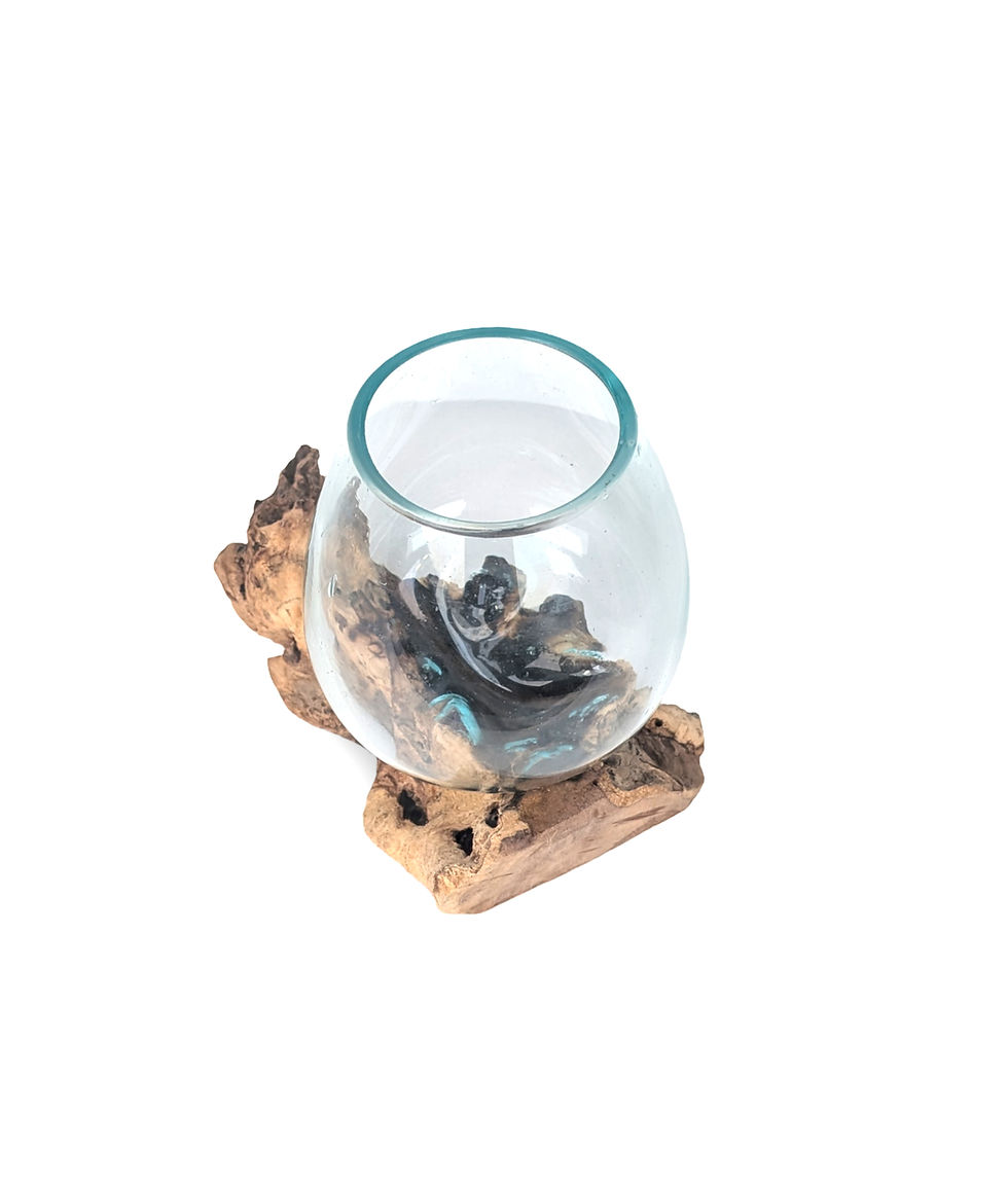 Thumbnail: Crafted Driftwood Aquarium, Mini Fish Tank, Molten Glass Bowl, Tropical Aquarium