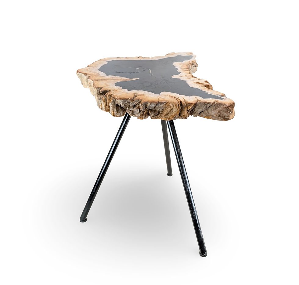 Thumbnail: Petrified Slice Side Table