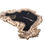 Thumbnail: petrified wood slab