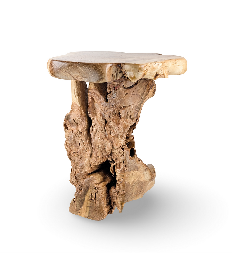 Thumbnail: Teak End Root