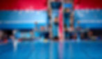 2007 FINA World Championships
