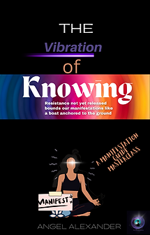 The Vibration cover.png
