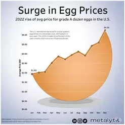 surge-in-egg-prices-01d64fbda6006883ef7c1e2fb448b089.webp
