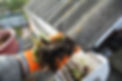 AdobeStock_124599953.jpeg