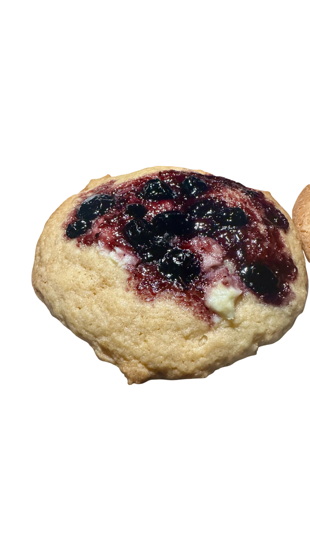 Blueberry Cheesecake