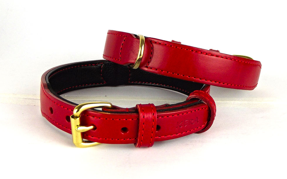 Thumbnail: Red by Kera Collar and Lead Set