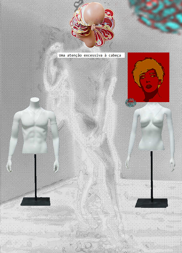 2 1 pricipal 1i.png