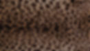 f3e7c783-33d3-4951-a6e4-cfeb7753c5f2_edited.jpg