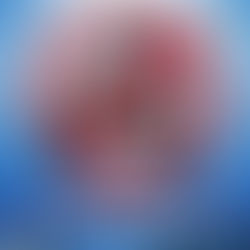 Lindóia – Temporada de escorpiões