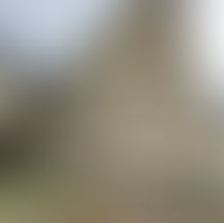 Serra Negra – Lances até 19 de novembro