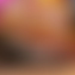 Holambra – Credenciamento no Mapa do Turismo Brasileiro