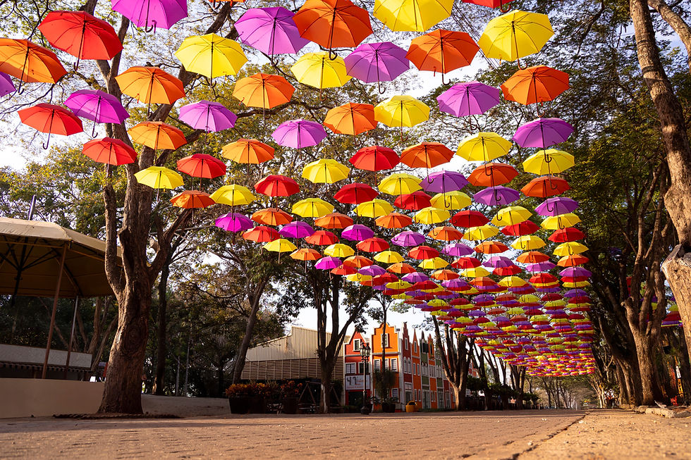 Holambra – Credenciamento no Mapa do Turismo Brasileiro