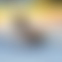 Jaguariúna – Programa bolsa atleta - inscrições abertas em janeiro