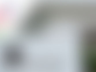 Internacional – Oposição pede que Trump reverta destituição em massa de embaixadores dos EUA