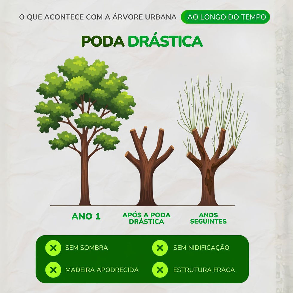 Meio Ambiente