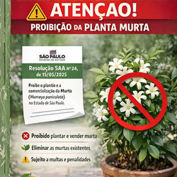 Planejamento para substituição em áreas públicas