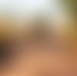 Serra Negra – Política de Mobilidade Rural