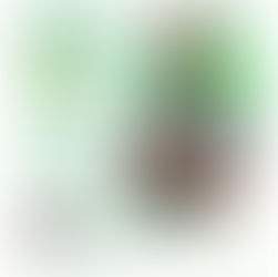 Whatsapp para negócios - Inscrições abertas