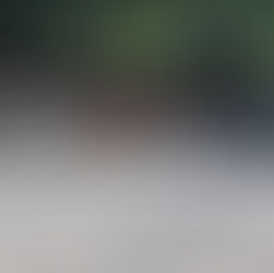 Serra Negra – Programa “Moeda Verde” para incentivar reciclagem e segurança alimentar
